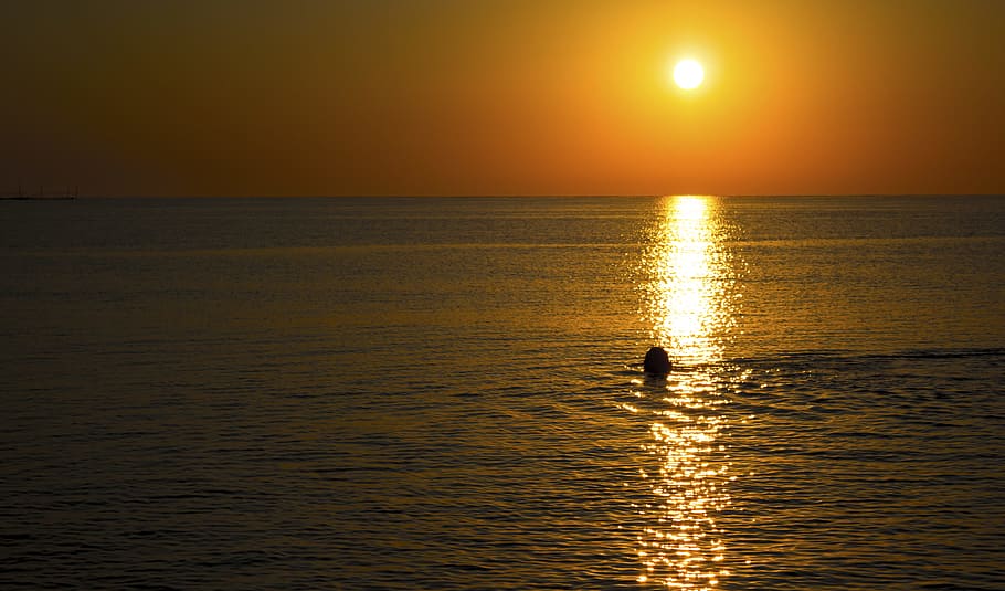 laut, lautan, air, matahari terbenam, matahari terbit, orang-orang, berenang, cakrawala, refleksi, alam