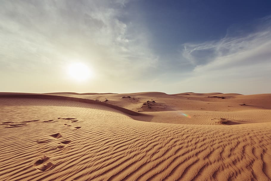 árido, estéril, madrugada, deserto, seco, quente, paisagem, natureza, areia, dunas de areia