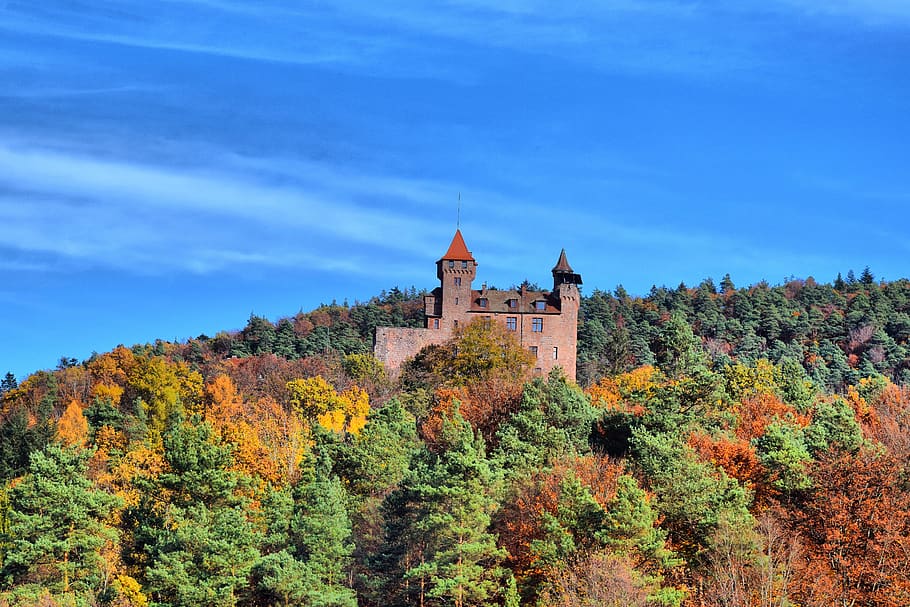 berwartstein-erlenbach, di dahn, musim gugur, hutan, alam, lanskap, pohon, suasana hati, sihir, mistik