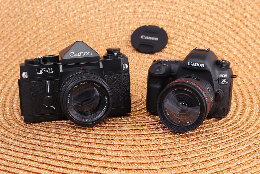 canon, camera, model, f-1, eos, 5 d, photography, slr, apparatus, photo camera