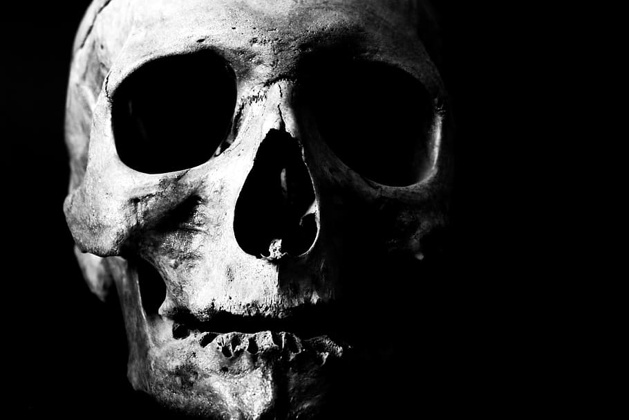 humano, crânio, esqueleto, osso, cabeça, morte, morto, assustador, tornar, dia das bruxas
