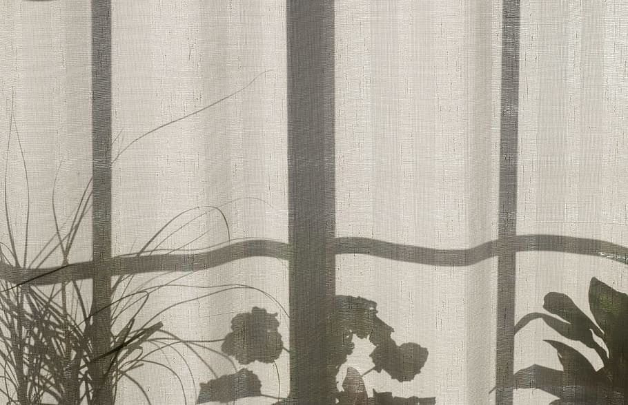 fabrics, gray, plants, shadows, windows, curtain, plant, textile, shadow, day