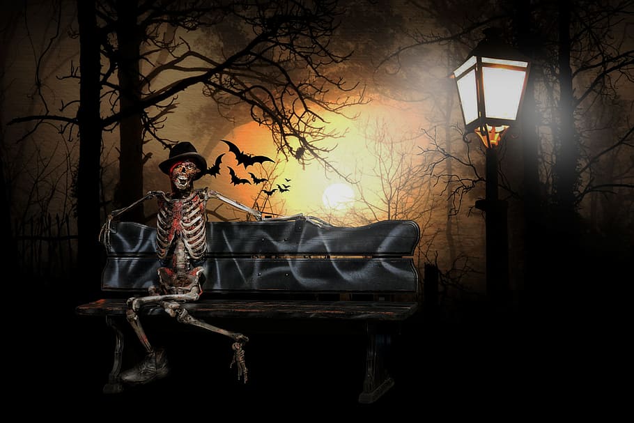 halloween, scary, skeleton, bats, dark, night, death, creepy, tree, lighting equipment