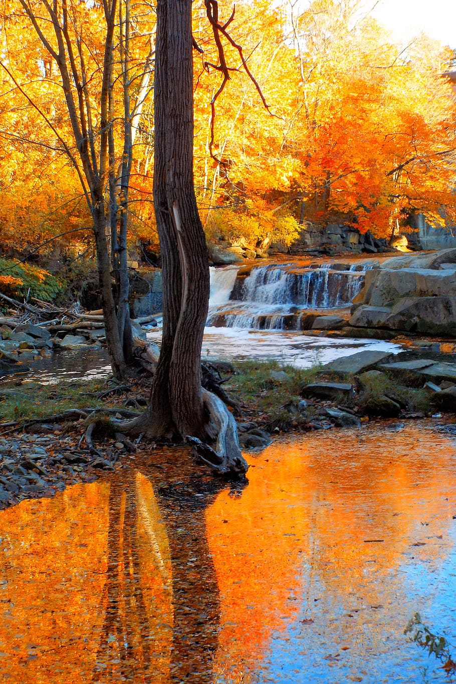 waterfall, fall, trees, river, nature, water, landscape, outdoors, stream, cascade