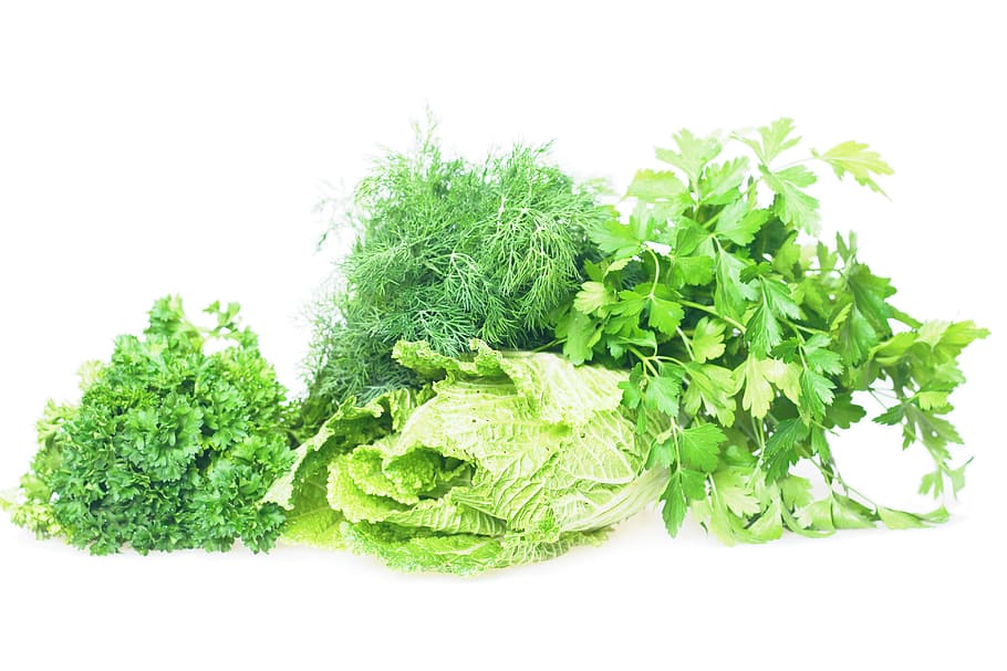 closeup, diet, makanan, segar, hijau, kesehatan, sehat, herbal, tahan, bahan