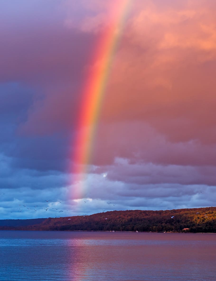 rainbow, rain, effect, landscape, sky, summer, colorful, lake, nature, outdoor