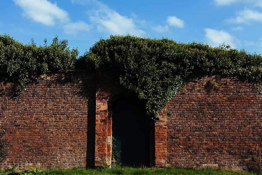 brick, wall, green, grass, trees, garden, plant, tree, architecture, built structure
