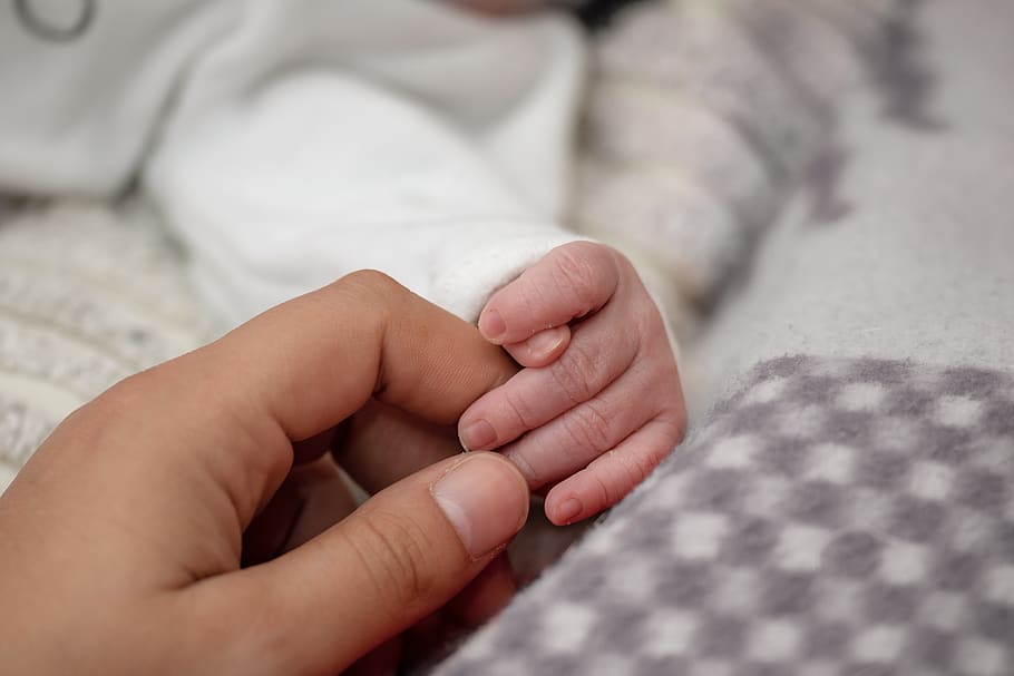 baby's hand, newborn, small hand, small, hand, finger, woman's hand, contact, love, skin