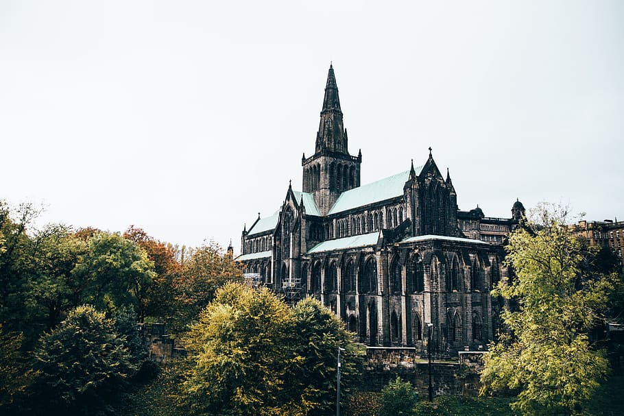 glasgow cathedral, surrounded, trees, architecture, blue, cathedral, church, cloud, construction, europe