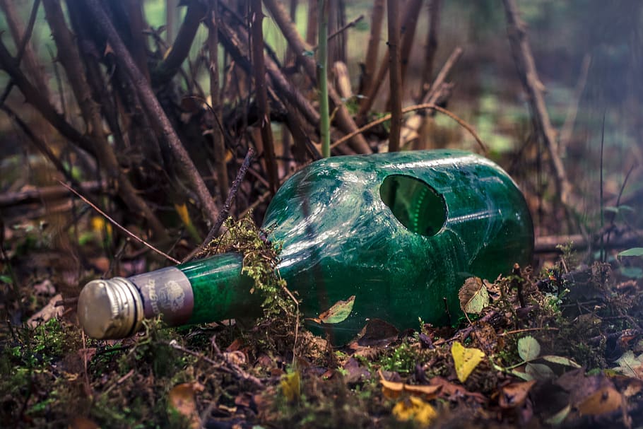 bottle, broken, forest, pollution, contamination, garbage, nature, old, glass bottle, destroyed