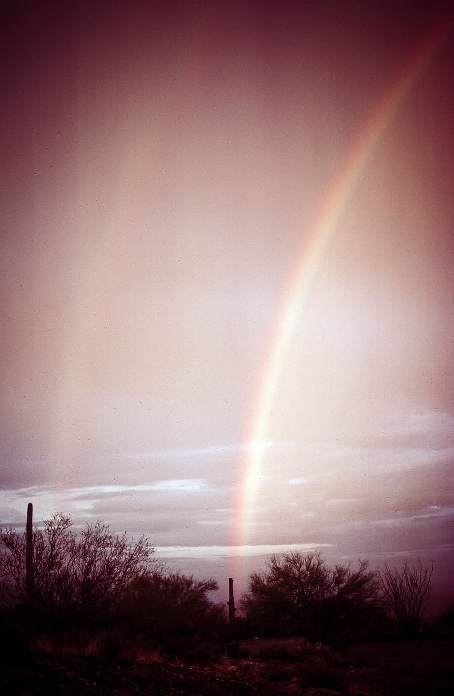 rainbow, saguaro cactuses, sunset, arizona, beautiful, cactus, clouds, colorful, desert, gray