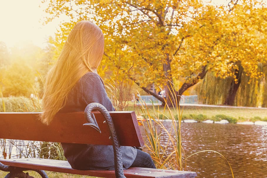 back, view, lonely, young, brunette, woman, sitting, bench, park, autumn