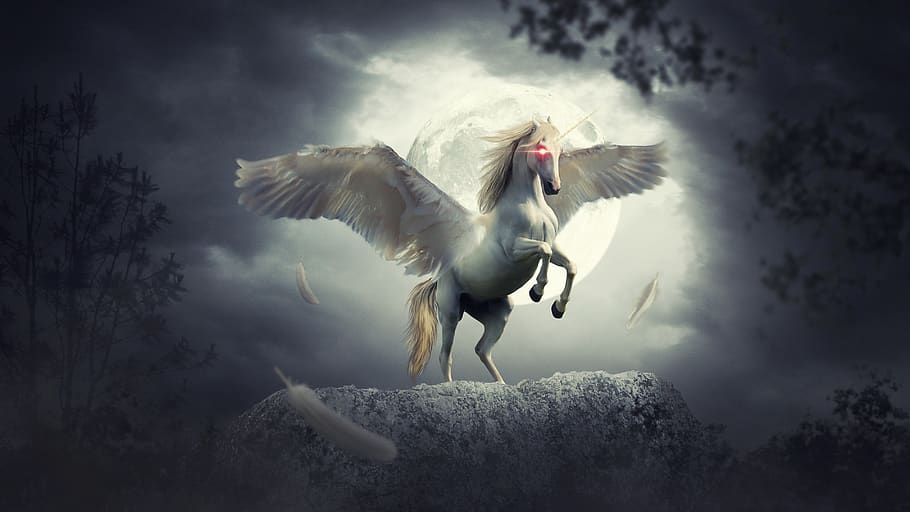 fantasía, unicornio, cuento de hadas, noche, luna, árbol, caballo, volador, luz de luna, roca