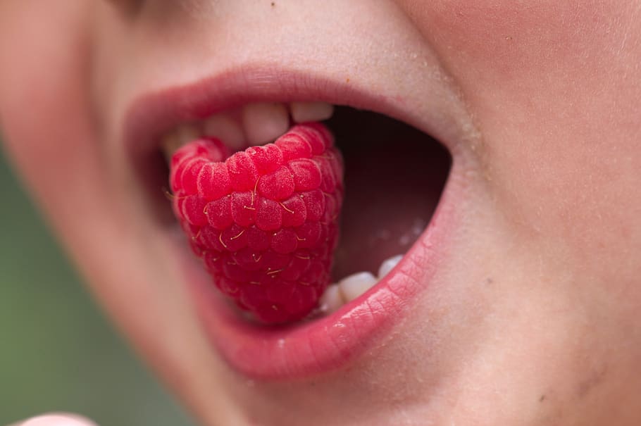 child, raspberry, summer, happy, red, food, bio, benefit from, eat, mouth