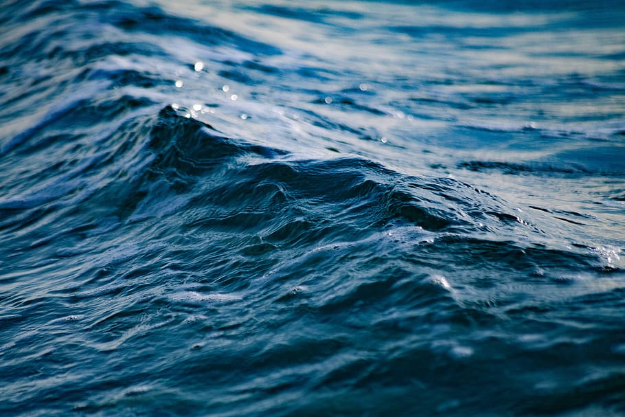 limpo, onda, oceano, claro, pureza, ondulação, água salgada, mar, água do mar, salpico