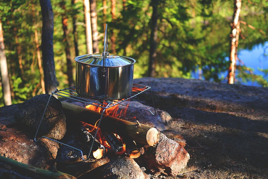 cook, cooking, food, cooker, fire, wood, log, tree, land, nature