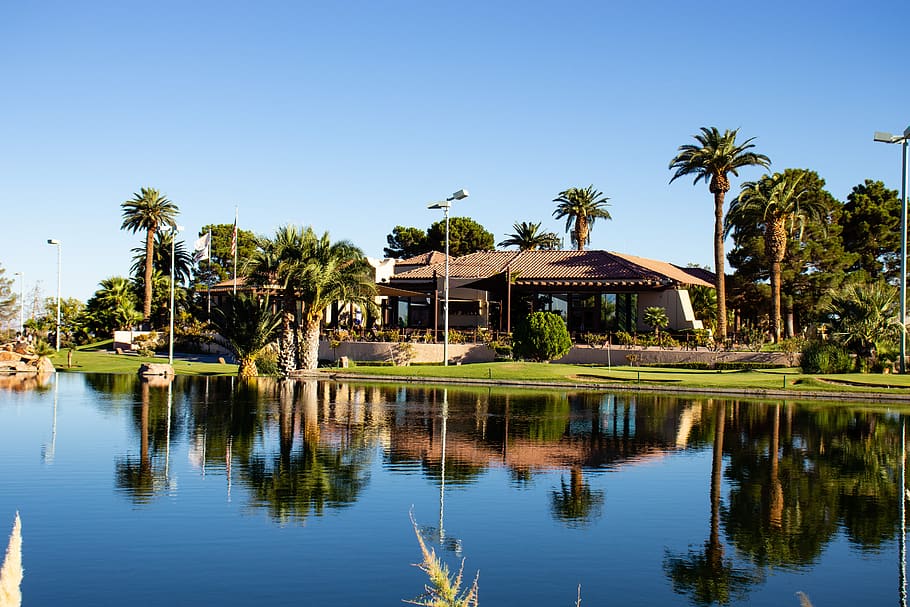 clubhouse, golf course, las vegas, lake, lake reflection, golf, nevada, club, palm tree, tropical climate