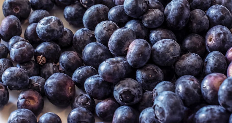 blueberry, beri, biru, makanan dan minuman, makanan, makanan sehat, buah, kesejahteraan, kesegaran, kelompok besar objek