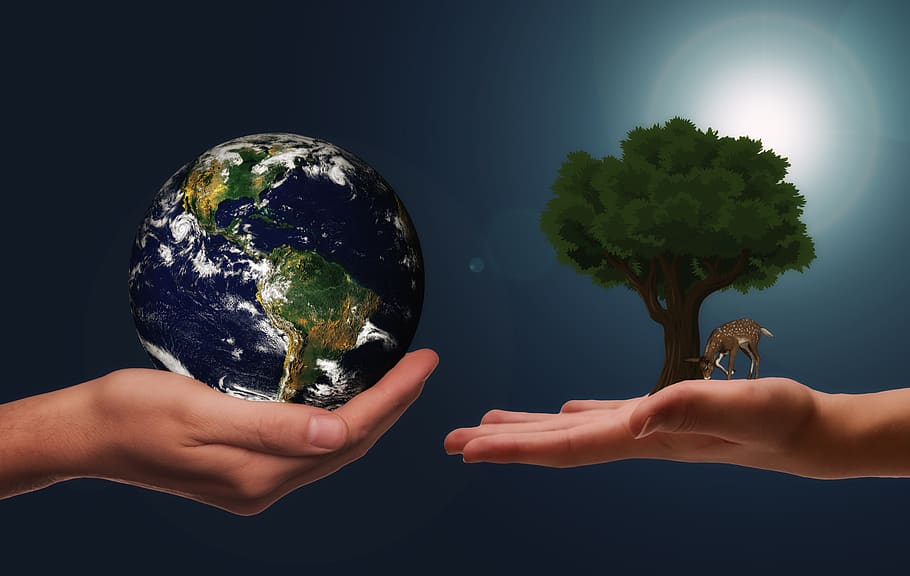 hands, earth, next generation, climate protection, space, universe, responsibility, ethics, nature conservation, environmental protection