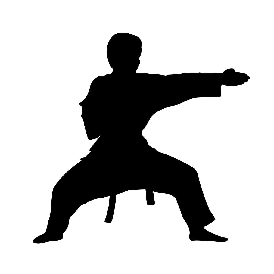 silueta, marcial, artista, karate, lucha, fuerte, kimono, listo, acción, activo