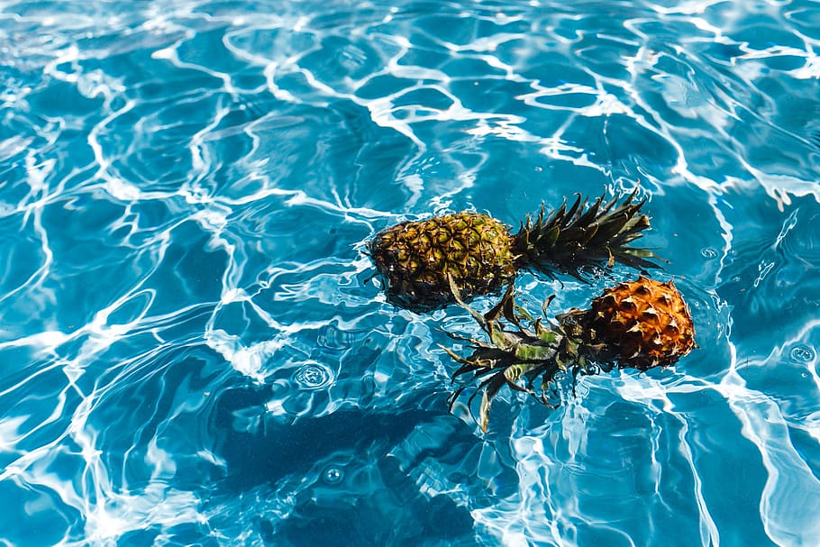 abacaxi, natação, piscina, dia, verão, água, frutas, férias, ao ar livre, acima