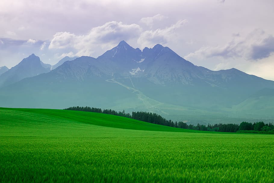 landscape, high, mountains., fields, night., scenics - nature, mountain, green color, environment, beauty in nature
