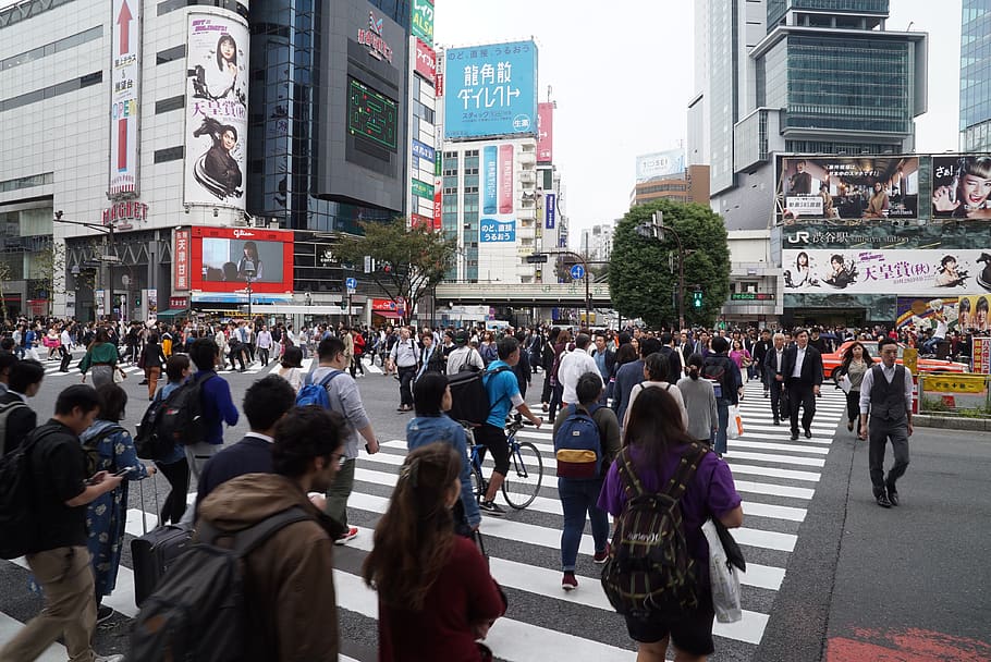 cruce de shibuya, cruce ocupado, multitudes, turista, tokio, japón, ciudad, arquitectura, estructura construida, gran grupo de personas