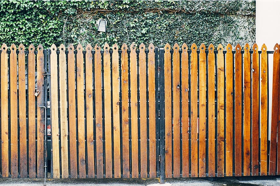 wood, fence, gate, lock, vines, leaves, day, metal, barrier, boundary