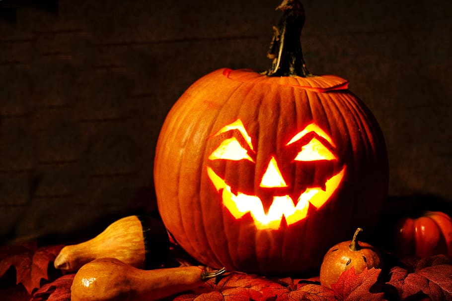 jack-o-lantern, lit, pumpkin, carved pumpkin, halloween, orange, scary, spooky, october, holiday