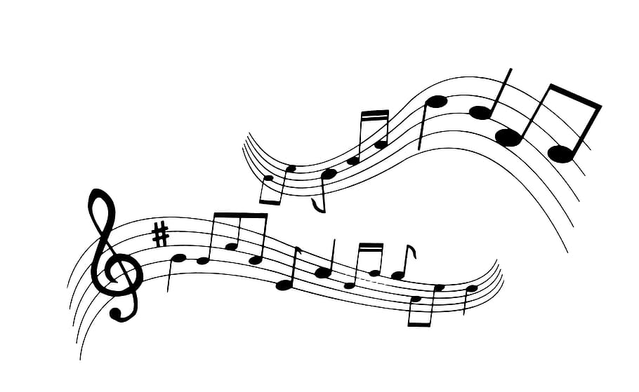 bergelombang, garis, musikal, nota, bengkok, stave., siluet, clef, bass, treble