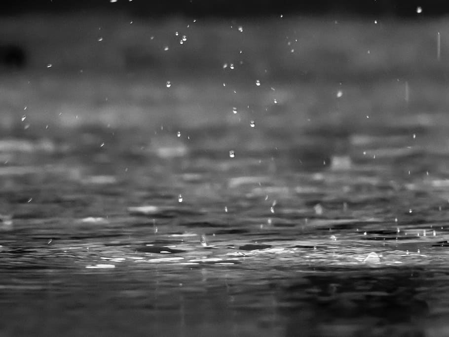 rain, drops, black and white, close up, water, nature, liquid, splash, macro, wet