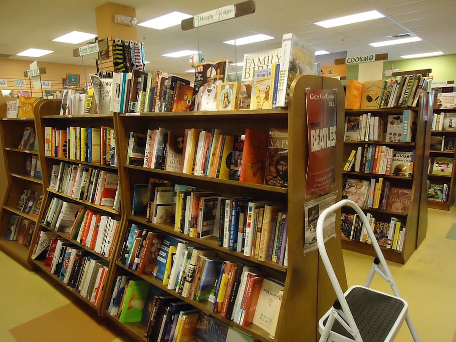 librería, tienda, libro, libros, estantes, estantería, exhibición, estante, pilas, taburete