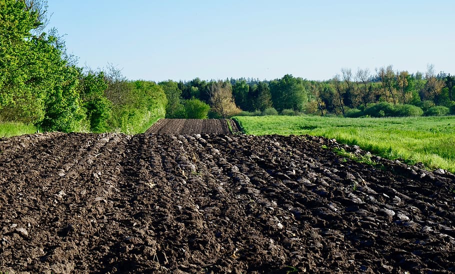 arable, field, landscape, agriculture, spring, plowed, plow, earth, ridge, seed