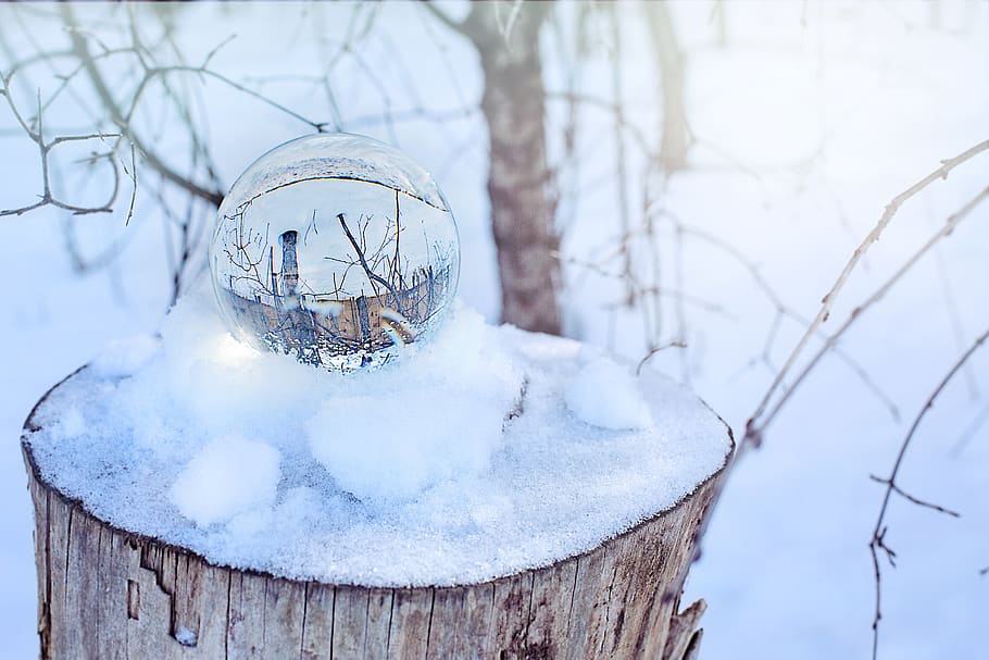 bola de cristal, nieve, invierno, nevado, bosques, magia, invernal, temperatura fría, árbol, naturaleza