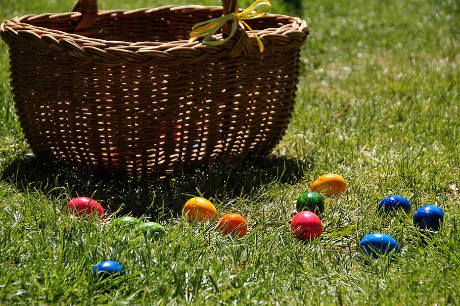 easter, search, eggs, collect, spring, habit, the tradition of, color, plant, grass