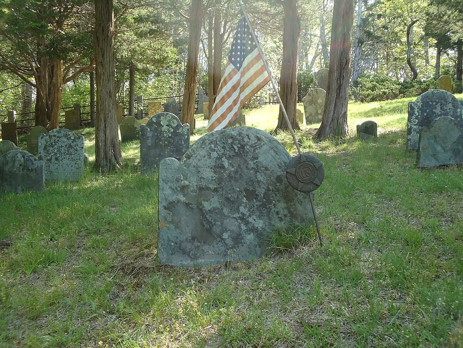 lápida mortuoria, bandera, americano, revolución, cementerio, planta, árbol, sólido, tumba, césped