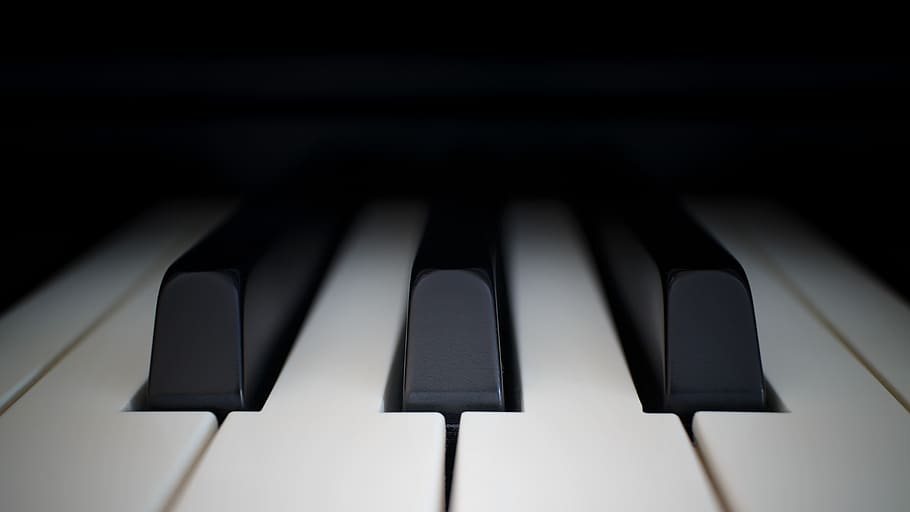 piano, marfim, ébano, sintetizador, chave, instrumento musical, instrumento de teclado, teclado, música, instrumento