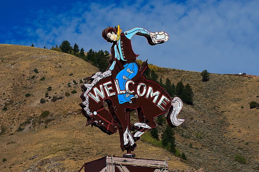 jackson cowboy sign, sign, welcome, jackson, hole, wyoming, neon, cowboy, bucking, bronco