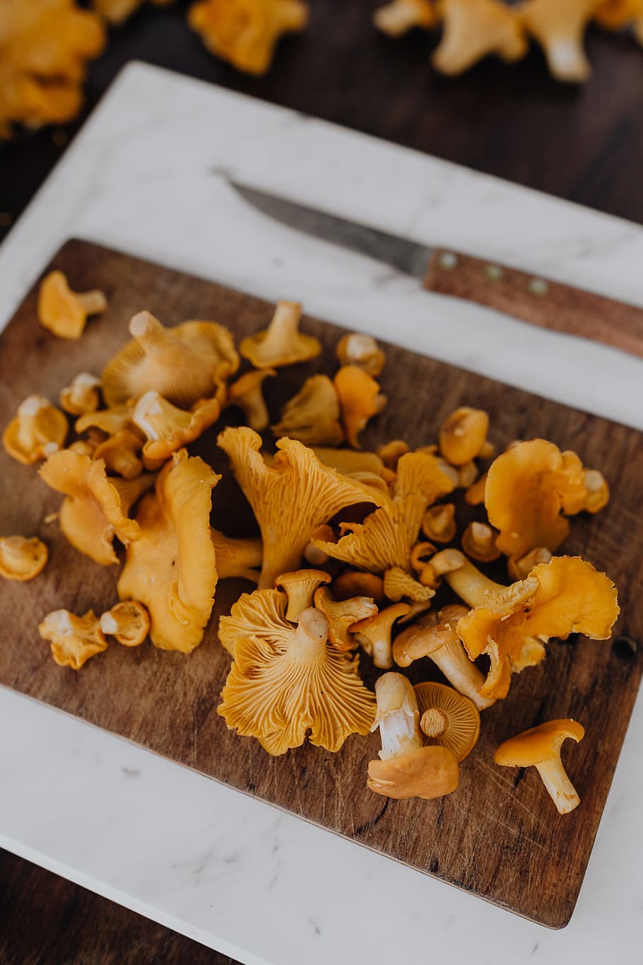 memetik, jamur chantarelle, kayu, chantarelle, jamur, jamur yang dapat dimakan, jamur kuning, musim gugur, makanan, makanan dan minuman