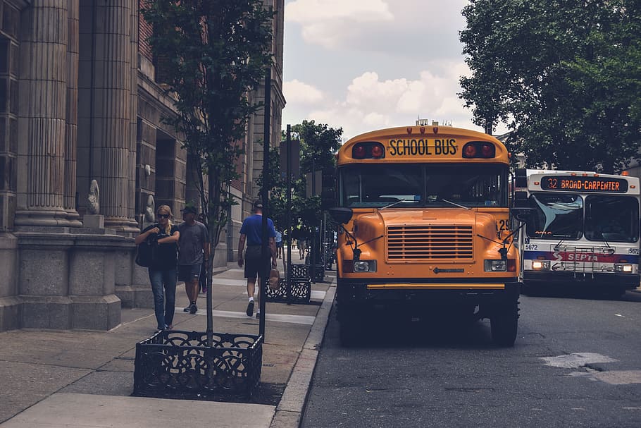 philadelphia, perjalanan, bus sekolah, kuning, bus, orang, kota, jalan, transportasi, moda transportasi