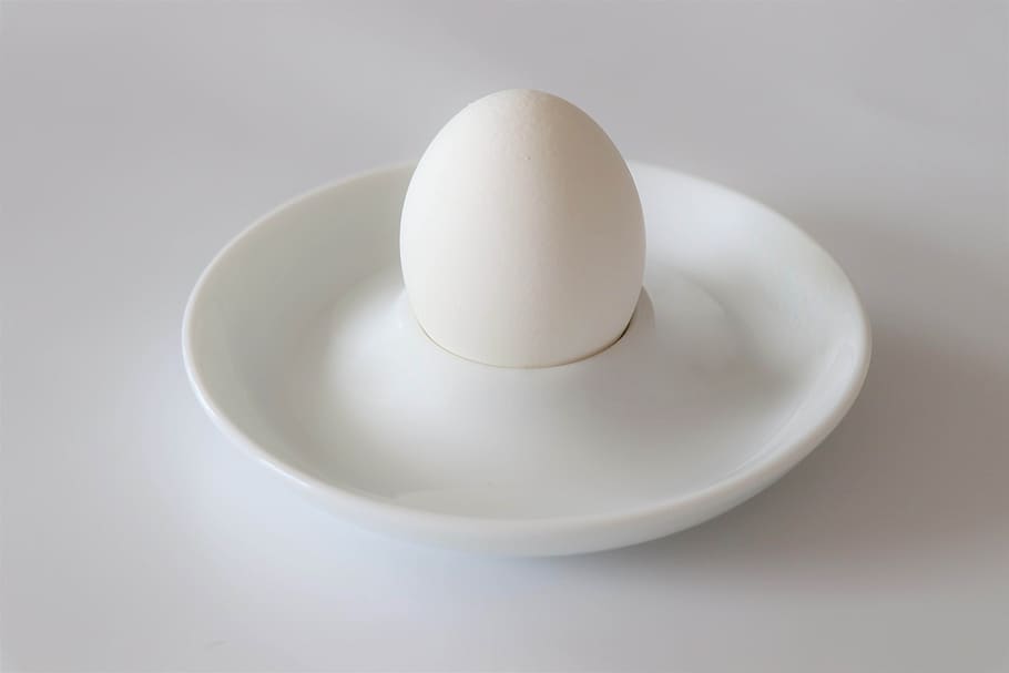 egg, breakfast, white, nutrition, healthy, there are, food, in the morning, table, fresh