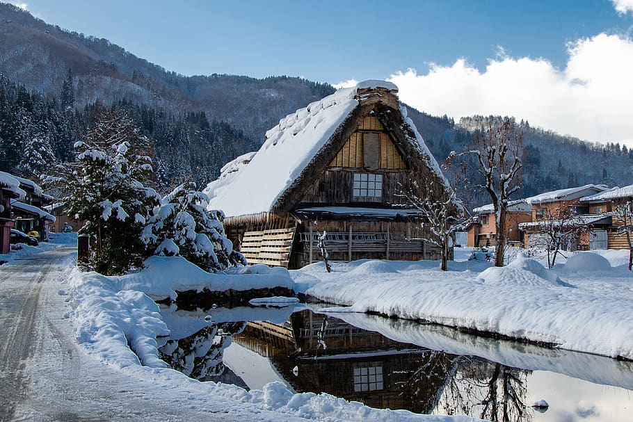 shirakawa-go, tradisional, jepang, gifu, tua, rumah, desa, budaya, unesco, musim dingin