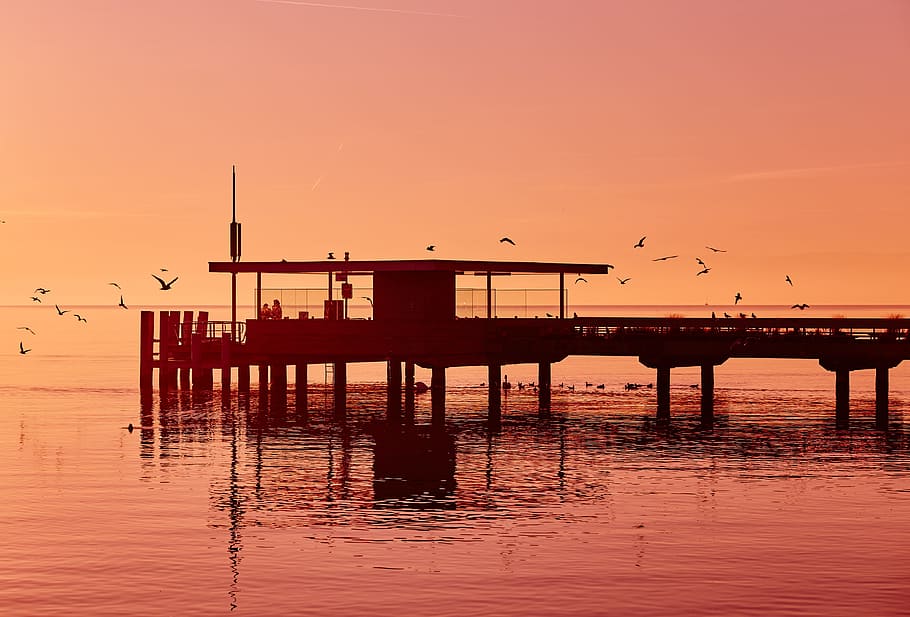 pier, dock, beach, ocean, sea, birds, sunset, dusk, silhouette, shadow
