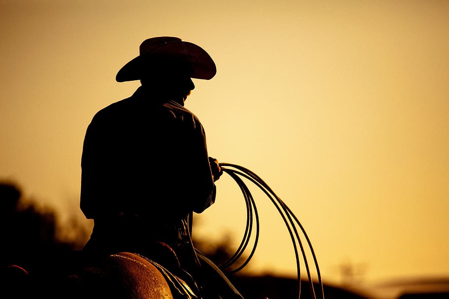 master, horse, ride, riding, rider, expert, silhouette, sunset, one person, sky