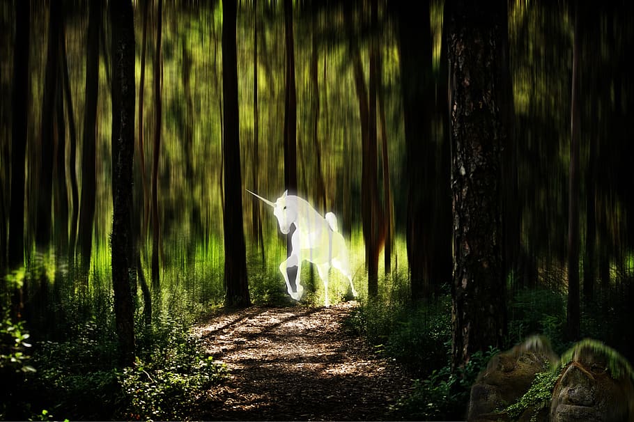 unicorn, forest, fantasy picture, photomontage, mysticism, mythical creatures, between world, control, desktop format, atmosphere