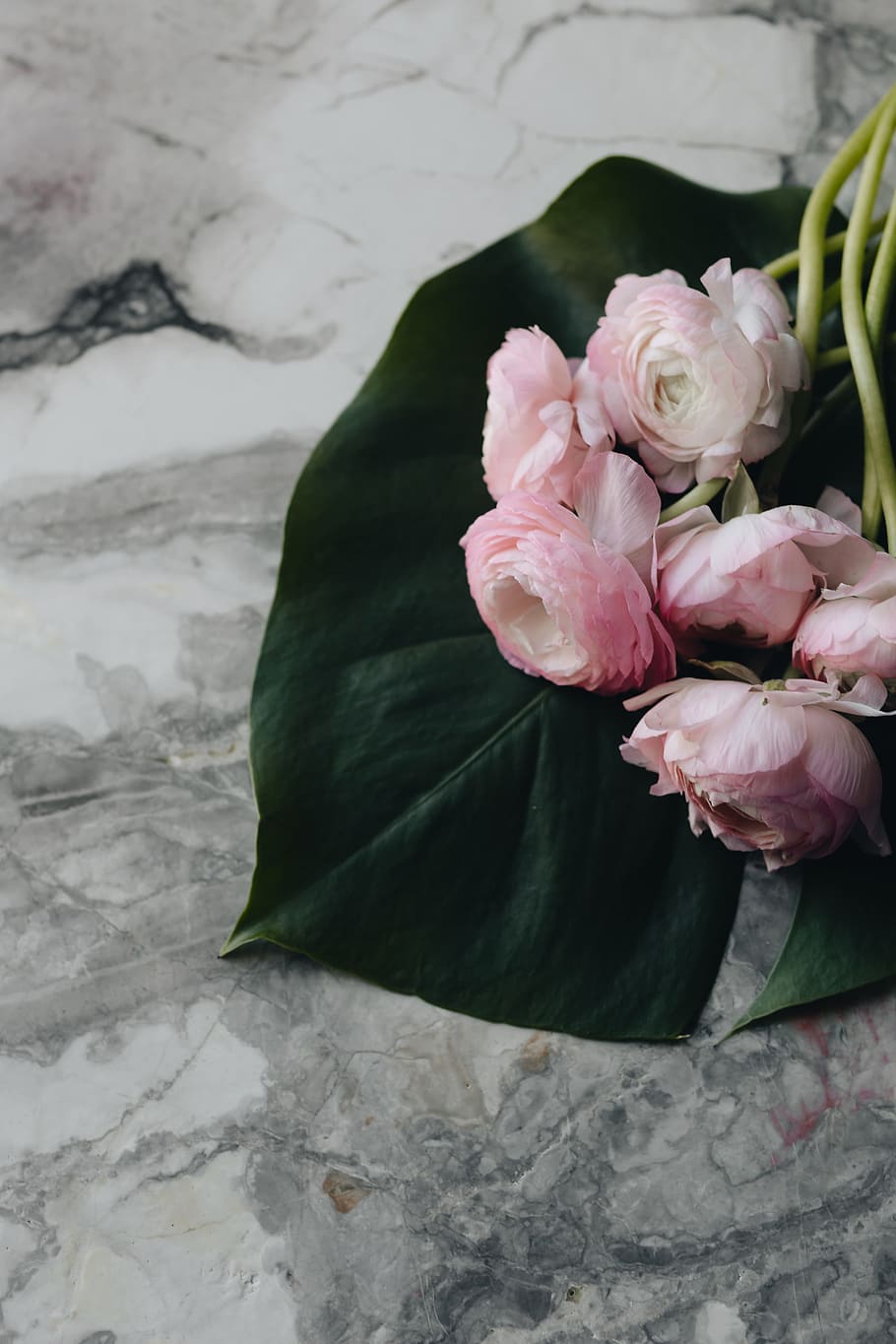 vogue poland 2 2018, &, indah, bunga buttercup, flora, lucu, majalah, bunga, mode, pink