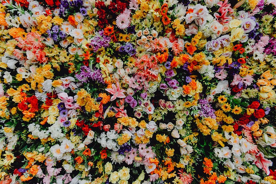 fest santo antonio, -, varios, pared de fondo de flores de color, museo, de, lisboa, portugal, flores, feriado