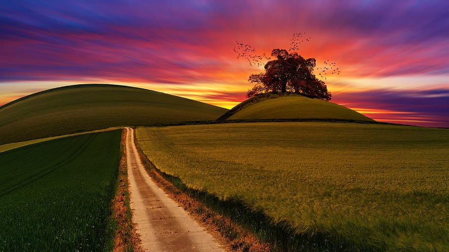 hills, farms, sunset, path, nature, track, colorful, purple, red, orange