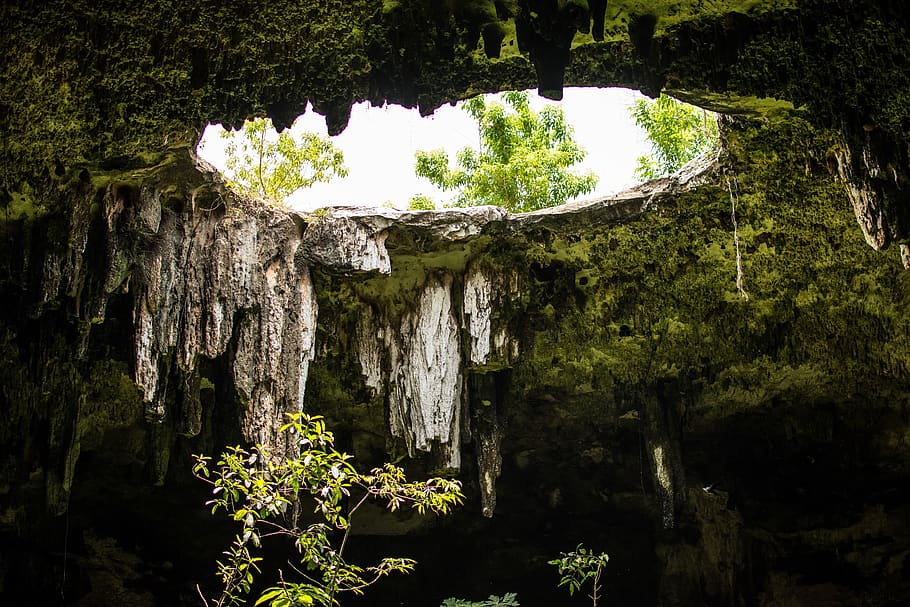 lubang, cenote, gua, jadi, bawah tanah, yucatan, pierre, alam, geologi, kolam renang