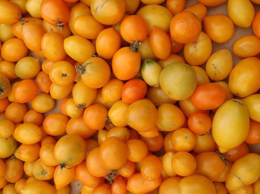 bunch, yellow-orange tomatoes, farmers market, san francisco california, abstract, agriculture, background, bell, bright, capsicum